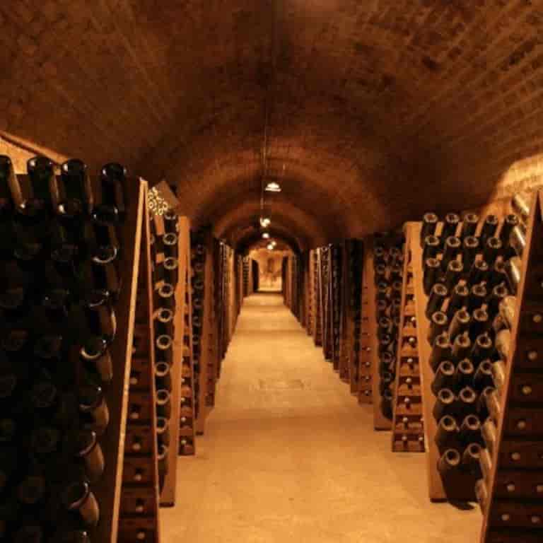 Champagne Pupitre 120 flaskor Dark Champagne Pupitre 120 flaskor Dark