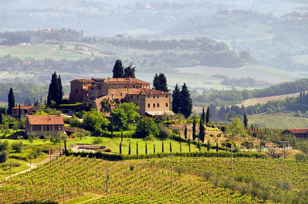Sassicaia